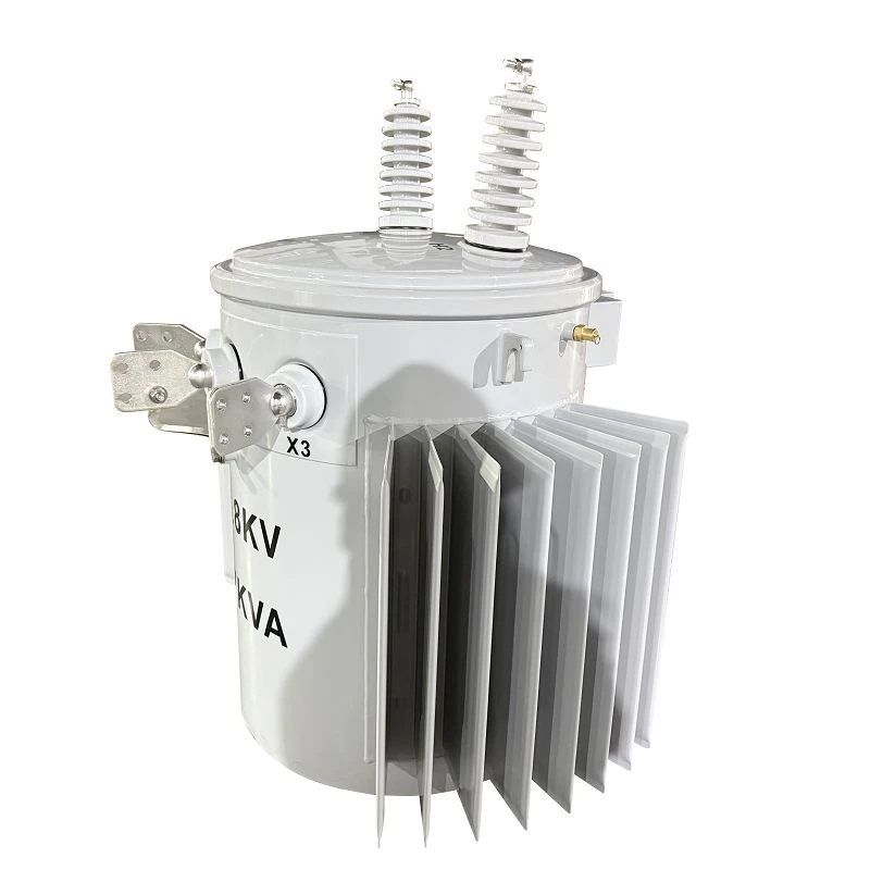 167 KVA Transformer Electrical Pole-13.8/0.24/0.12 KV | Guyana 2025 suppliers
